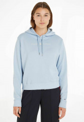 Tommy Hilfiger REG FROSTED CORP Hoodie bleu REG FROSTED CORP Толстовка с капюшоном синий
