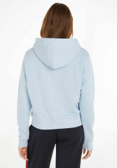 Tommy Hilfiger REG FROSTED CORP Hoodie bleu REG FROSTED CORP Толстовка с капюшоном синий