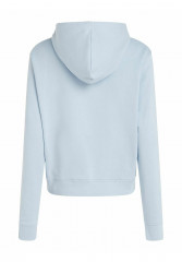 Tommy Hilfiger REG FROSTED CORP Hoodie bleu REG FROSTED CORP Толстовка с капюшоном синий