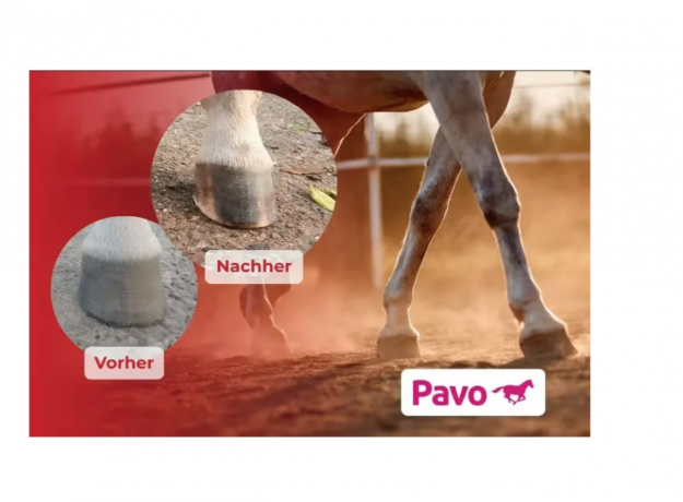 Pavo BiotinForte 3kg, Кормовая добавка для лошадей (Нидерланды), гранулы, укрепление копыт и рост, рога, биотин 6000 мкг, цинк, медь, метионин, травяной аромат, 3кг