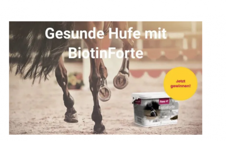 Pavo BiotinForte 3kg, Кормовая добавка для лошадей (Нидерланды), гранулы, укрепление копыт и рост, рога, биотин 6000 мкг, цинк, медь, метионин, травяной аромат, 3кг