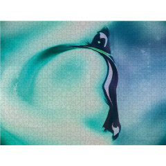 CALVENDO Puzzle CALVENDO Puzzle Alleine Пазл CALVENDO Puzzle Alone