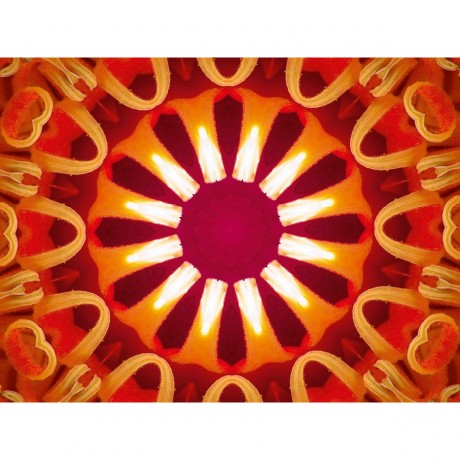 CALVENDO Puzzle CALVENDO Puzzle Florestella Пазл CALVENDO Пазл Florestella