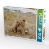 CALVENDO Puzzle CALVENDO Puzzle Emotionale Momente: Lowenbabys Пазл CALVENDO Puzzle Эмоциональные моменты: Львята