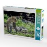 CALVENDO Puzzle CALVENDO Puzzle Leopard Пазл CALVENDO Пазл Леопард