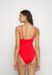 Tommy Hilfiger ONE PIECE  Swimsuit fireworks ONE PIECE Купальник салют
