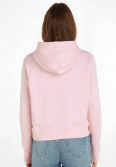 Tommy Hilfiger REG FROSTED CORP Hoodie rose REG FROSTED CORP Толстовка с капюшоном Роза