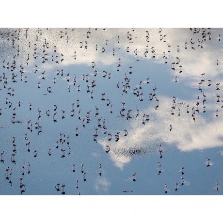 CALVENDO Puzzle CALVENDO Puzzle Emotionale Momente: Der Lake Elementaita in Kenia. Пазл CALVENDO Пазл Эмоциональные моменты: Озеро Элементайта в Кении.