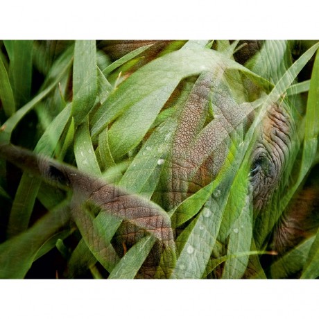 CALVENDO Puzzle CALVENDO Puzzle Emotionale Momente: African Dreams Пазл CALVENDO Puzzle Emotional Moments: African Dreams