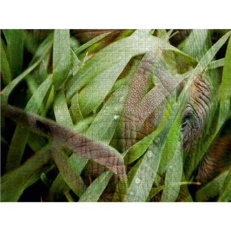 CALVENDO Puzzle CALVENDO Puzzle Emotionale Momente: African Dreams Пазл CALVENDO Puzzle Emotional Moments: African Dreams