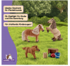Schleich Horse Club  Mini Shetty Familie 41432, Игровой набор Семья мини шетти (Германия), 3 фигурки пони и аксессуары, 9 деталей, ручная роспись, от 5 лет