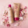Aveda Cherry Almond Softening Conditioner  Смягчающий кондиционер с вишневым миндалем