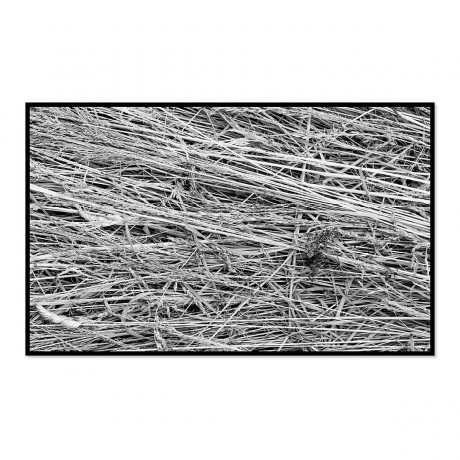 CALVENDO Puzzle CALVENDO Puzzle Emotionale Momente: Black White Fineart Пазл CALVENDO Puzzle Emotional Moments: Black White Fine Art