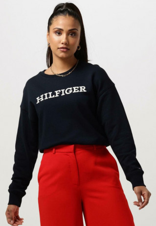 Tommy Hilfiger REG MONOTYPE EMB Sweatshirt blauw REG MONOTYPE EMB Толстовка синий и белый
