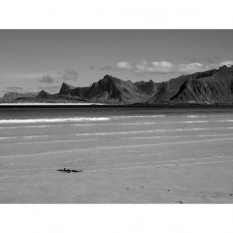 CALVENDO Puzzle CALVENDO Puzzle Sandstrand Krystal auf den Lofoten Пазл CALVENDO Puzzle Песчаный пляж Кристал на Лофотенских островах
