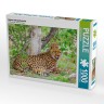 CALVENDO Puzzle CALVENDO Puzzle Gepard mit Nachwuchs Пазл CALVENDO Пазл гепард с потомством