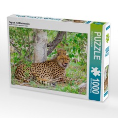 CALVENDO Puzzle CALVENDO Puzzle Gepard mit Nachwuchs Пазл CALVENDO Пазл гепард с потомством