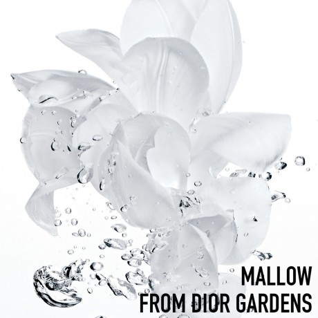 DIOR Fresh Reviver Sorbet Water Mist  Водный туман Fresh Reviver Sorbet