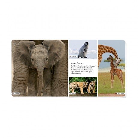 Coppenrath Verlag Meine liebsten Tierbabys Мои любимые детёныши животных