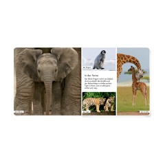 Coppenrath Verlag Meine liebsten Tierbabys Мои любимые детёныши животных