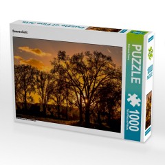 CALVENDO Puzzle CALVENDO Puzzle Sonnenlicht Пазл CALVENDO Puzzle Солнечный свет