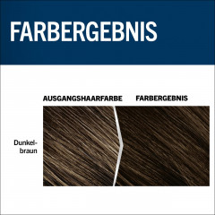 Schwarzkopf Professional Men Perfect Tonungs-Gel 70 Natural Dark Brown 10st, Краска против седых волос-Гель Natur Темно-коричневый 70, 10 штук