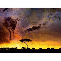CALVENDO Puzzle CALVENDO Puzzle Emotionale Momente: African Dreams Пазл CALVENDO Puzzle Emotional Moments: African Dreams