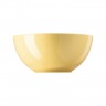 Thomas Thomas Sunny Day Soft Yellow Schussel 24 cm / 2,80 L Мягкая желтая миска Thomas Sunny Day 24 см / 2,80 л