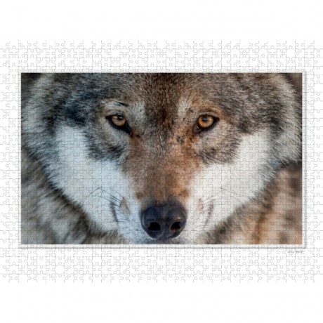 CALVENDO Puzzle CALVENDO Puzzle EmotiEmotional Moments: Die Augen der Tiere. Пазл CALVENDO Puzzle EmotiEmotional Moments: Глаза животных.