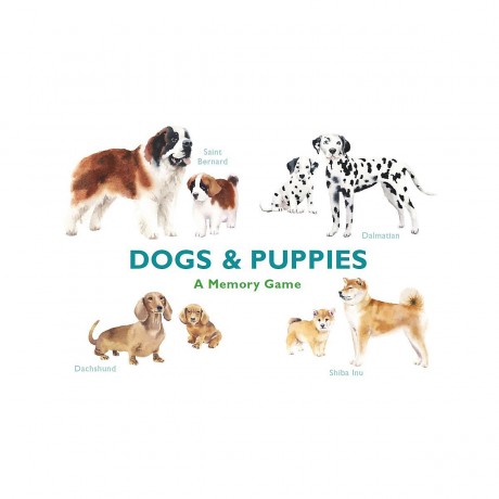 Dogs  Puppies Щенки собаки