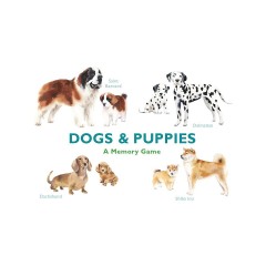 Dogs  Puppies Щенки собаки