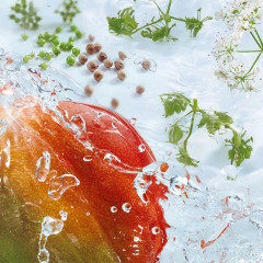 Yves Rocher Les Plaisirs Nature Duftspray Mango-Koriander  Les Plaisirs Nature Fragrance Spray Манго-Кориандр