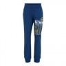 LEGO Sweathose M-22793 Jogginghosen fur Jungen Спортивные штаны M-22793 Спортивные штаны для мальчиков