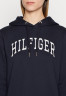 Tommy Hilfiger VARISTY HOODIE Hoodie desert sky VARISTY HOODIE Толстовка с капюшоном небо пустыни
