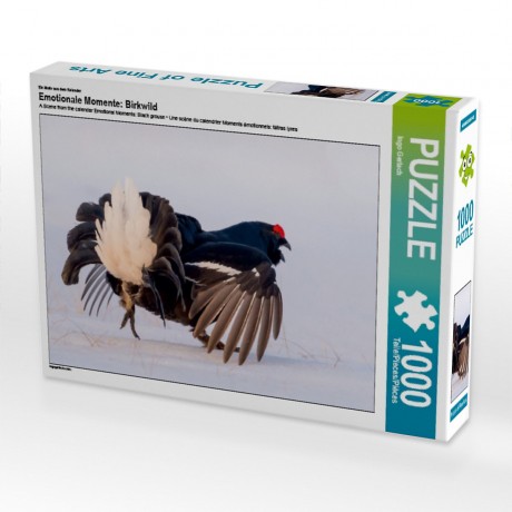 CALVENDO Puzzle CALVENDO Puzzle Emotionale Momente: Birkwild Пазл CALVENDO Puzzle Эмоциональные моменты: тетерев