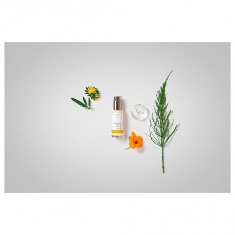 Dr. Hauschka Ausgleichendes Tagesfluid  Балансировка дневной жидкости