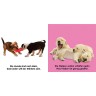 Dorling Kindersley Verlag Mein Fuhlbilderbuch: Hunde Книга с картинками о моих чувствах: собаки
