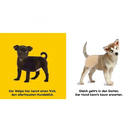 Dorling Kindersley Verlag Mein Fuhlbilderbuch: Hunde Книга с картинками о моих чувствах: собаки