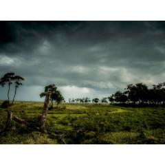 CALVENDO Puzzle CALVENDO Puzzle Nach dem Gewitter Пазл CALVENDO Puzzle После грозы