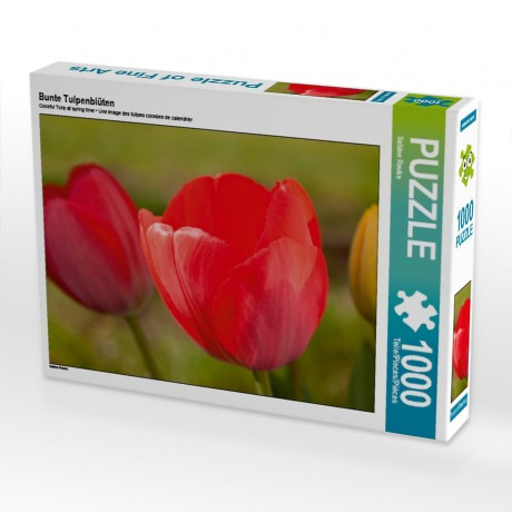 CALVENDO Puzzle CALVENDO Puzzle Bunte Tulpenbluten Пазл CALVENDO Puzzle Разноцветные тюльпаны