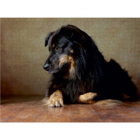 CALVENDO Puzzle CALVENDO Puzzle Hobbit Пазл CALVENDO Пазл Хоббит