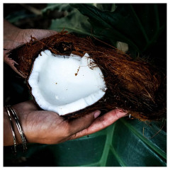 I WANT YOU NAKED Coco Glow Body Oil  Кокосовое сияющее масло для тела