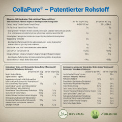 Wehle Sports Collagen pulver 500g, Коллаген гидролизованный порошок, тип I II III, поддержка суставов, кожи и мышц каждый день, без вкуса, Германия, 500г