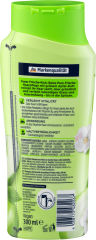 Balea Shampoo Pure Frische Балеа Шампунь с освежающим зелёным Яблоком для жирных Волос, 300 мл
