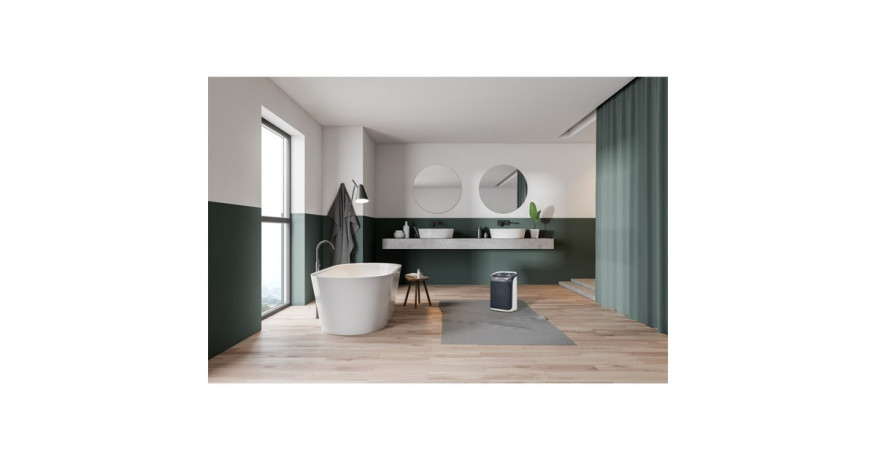 Rowenta Rowenta Mini Excel Aqua SO9281, Heizlufter grau/weiss  grau/weiss Rowenta Mini Excel Aqua SO9281, тепловентилятор серый/белый