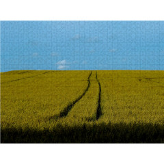 CALVENDO Puzzle CALVENDO Puzzle Erntezeit in Sieversen Пазл CALVENDO Puzzle Время сбора урожая в Зиверсене