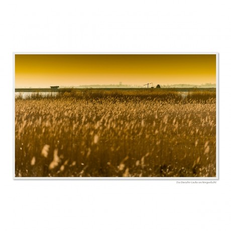 CALVENDO Puzzle CALVENDO Puzzle Neusiedler See \/ CH-Version Пазл CALVENDO Puzzle Neusiedler См. версию CH