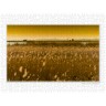 CALVENDO Puzzle CALVENDO Puzzle Neusiedler See \/ CH-Version Пазл CALVENDO Puzzle Neusiedler См. версию CH