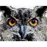 CALVENDO Puzzle CALVENDO Puzzle Krafttier Eule Пазл CALVENDO Puzzle power animal owl