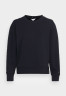 Tommy Hilfiger INTERLOCK Sweatshirt desert sky ИНТЕРЛОК толстовка небо пустыни